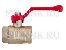 ��������� ����
